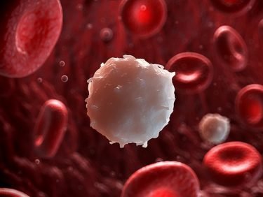 CAR-T-Zelltherapie: Den Krebs mit eigenem Blut bekämpfen